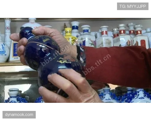 范迪克家里那冰箱里到底藏了多少瓶贵到发抖的酱油？
